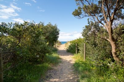 Beach-Track